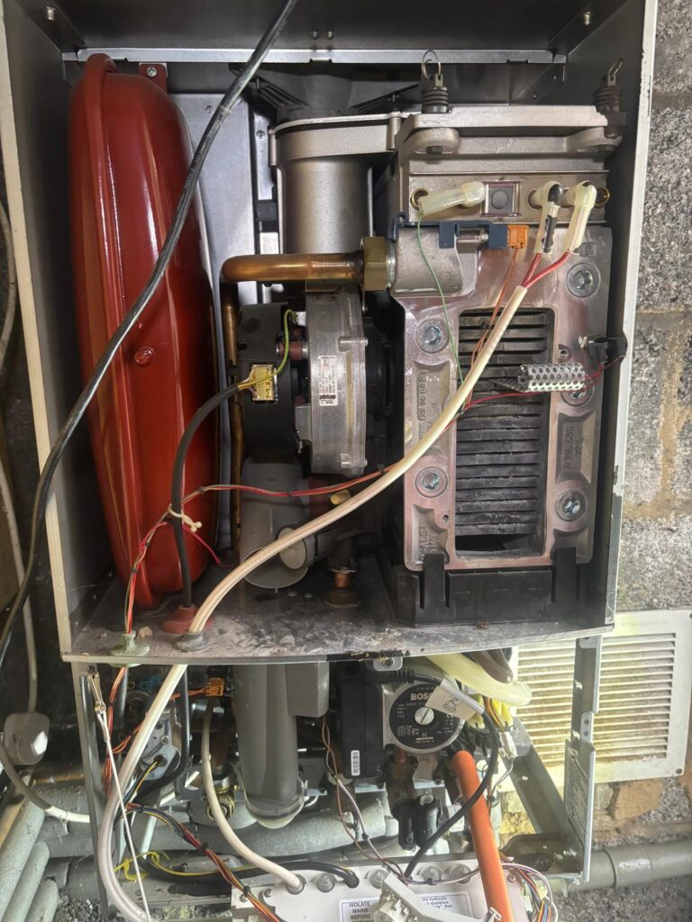 131f9851 82db 468e a68d db200a9cfc0e 1